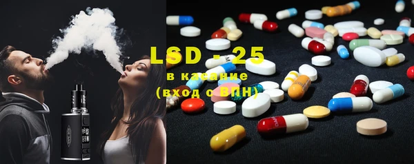 прущие грибы Покачи