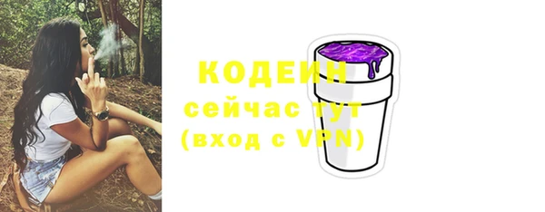 ECSTASY Пересвет