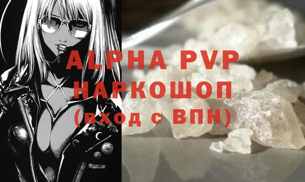 прущие грибы Покачи