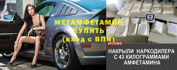 прущие грибы Покачи