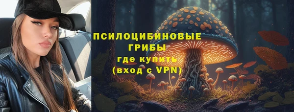 прущие грибы Покачи