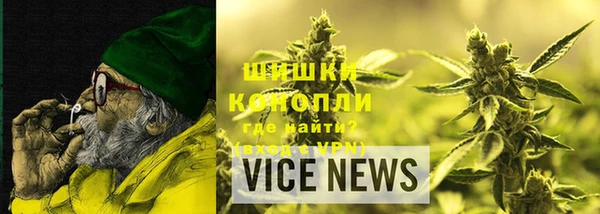 прущие грибы Покачи