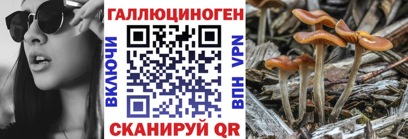 Псилоцибиновые грибы MAGIC MUSHROOMS Красный Кут